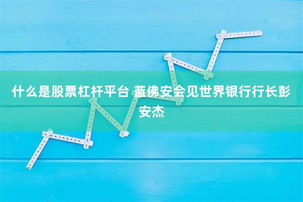 什么是股票杠杆平台 蓝佛安会见世界银行行长彭安杰