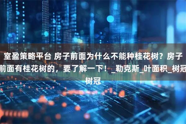 室盈策略平台 房子前面为什么不能种桂花树？房子前面有桂花树的，要了解一下！_勒克斯_叶面积_树冠