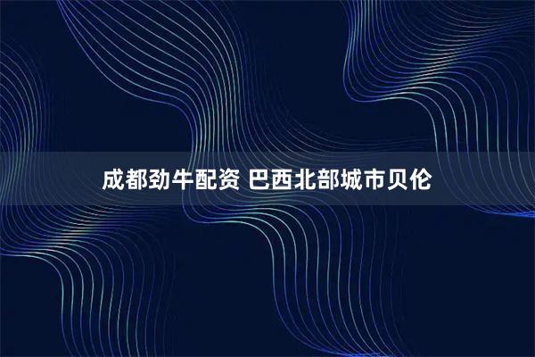 成都劲牛配资 巴西北部城市贝伦