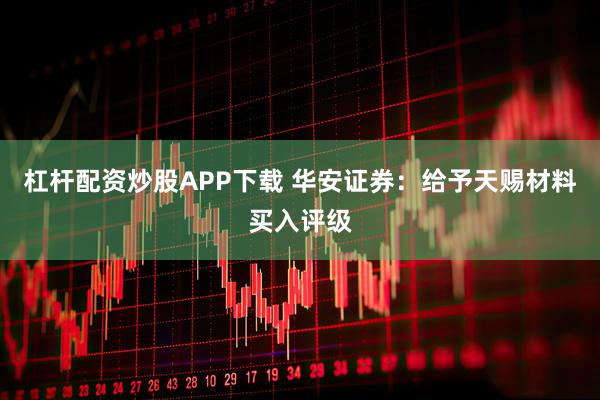 杠杆配资炒股APP下载 华安证券：给予天赐材料买入评级